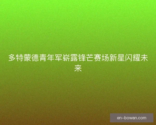 多特蒙德青年军崭露锋芒赛场新星闪耀未来 多特蒙德青年军崭露锋芒赛场新星闪耀未来